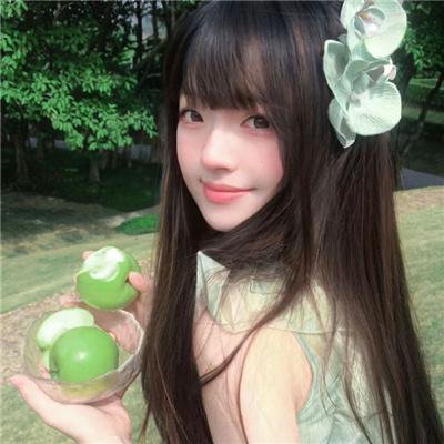 历史的总和